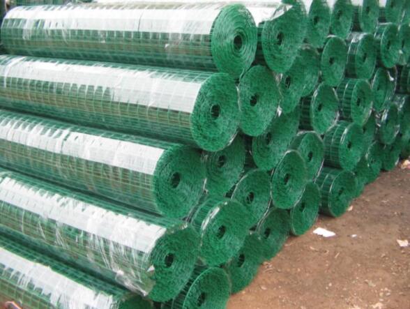 Galvanized Dutch mesh