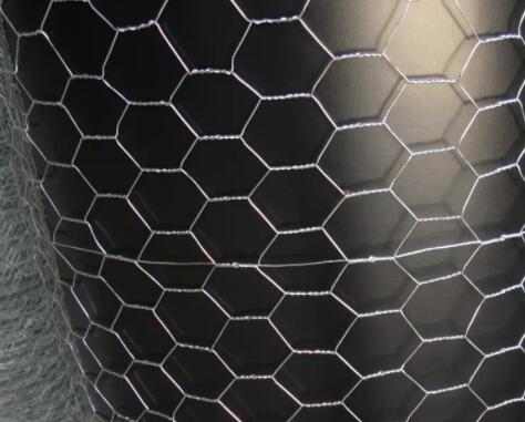 Galvanized hexagonal net to order