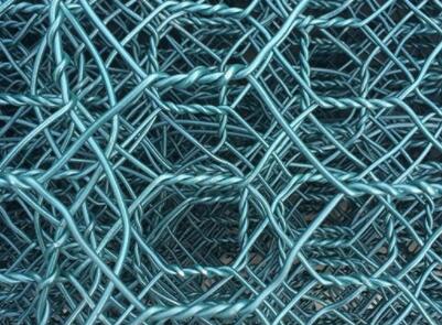 Mạng lưới Aviary cho Chim Finch - Khám Phá Thế Giới Chim