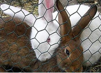 Twist flower hexagonal net custom