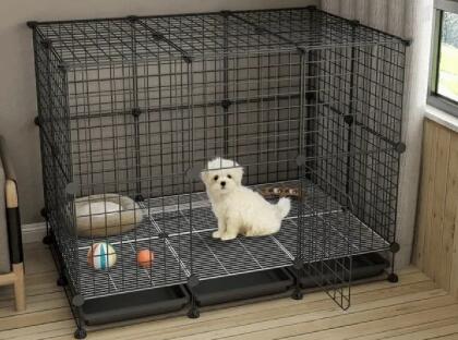 It is time to choose a superior quality pet carrier for your pet