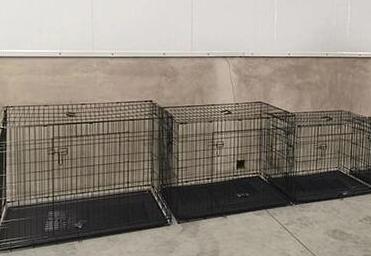 Decorative Perforated Steel Fence Panels for Enhanced Security and Aesthetics