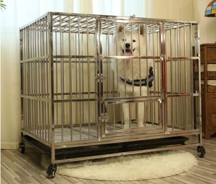 Pet cages – How to pick the right one