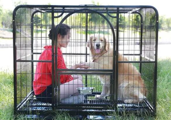 4 мм оцинкований дрот