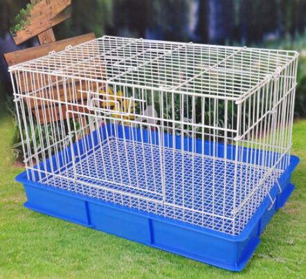 Choose a pet carrier that fits your dog