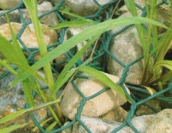 Plastic coated hexagonal net custom