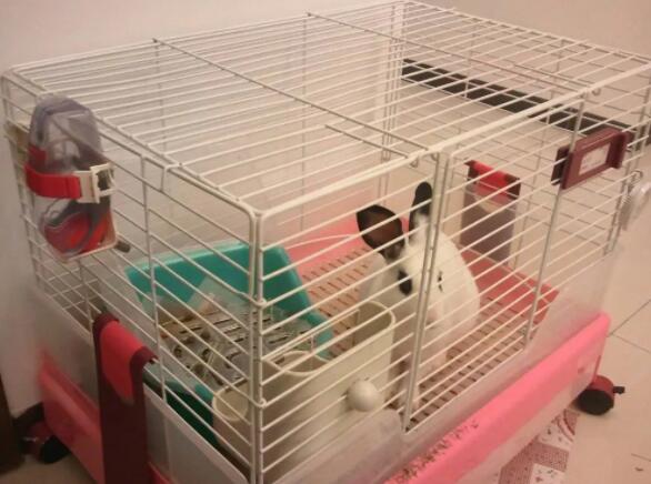 Rabbit factory to metal cage custom requirements