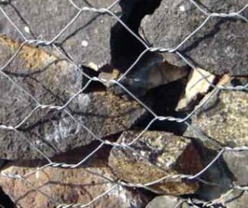 large metal wire dog crate