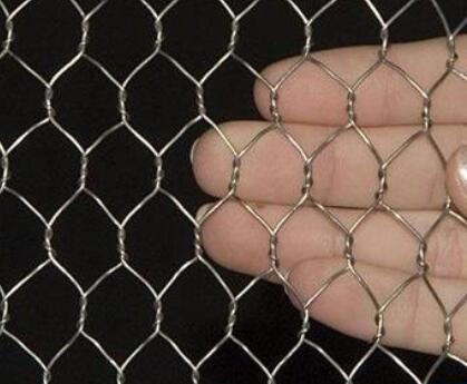 ခွေးကြီးကြီးမားတဲ့ ဗိုင်းယာယ်ပါ။