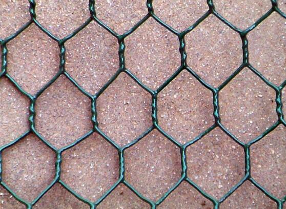 Galvanized Ring Shank Nails for Secure Siding Installation and Enhanced Durability