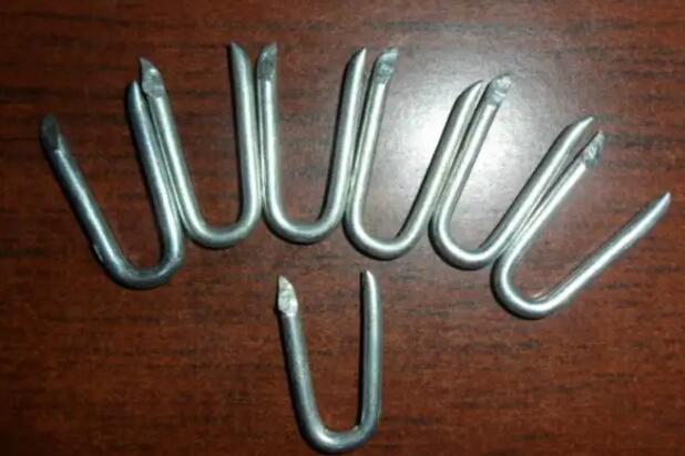 U-shaped nail price