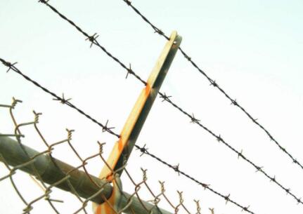 Single strand barbed wire briar, anti-climbing burglar barbed wire, barbed wire.