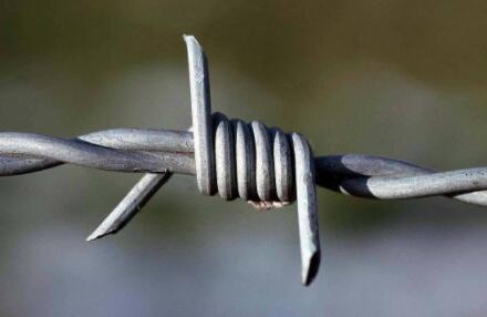The difference between blade barbed rope and galvanized barbed rope.