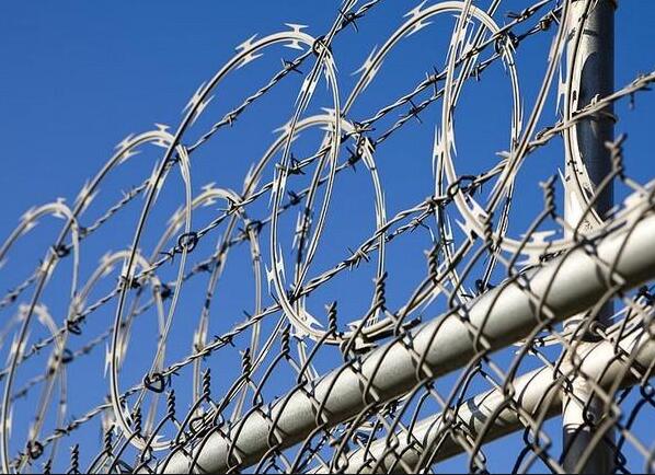 Similar Coil Nails in Various Sizes for Versatile Applications