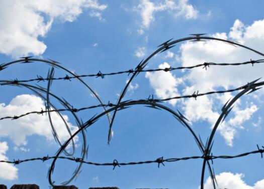 barbed wire for sale