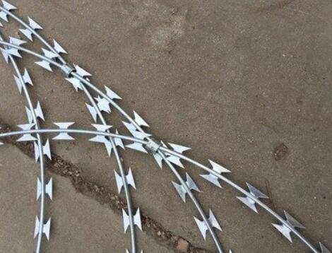 Stainless steel blade How big is the blade of the barbed rope