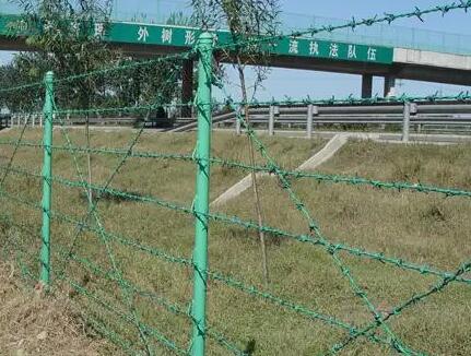 Innovative Applications and Benefits of Perforated Iron in Modern Design