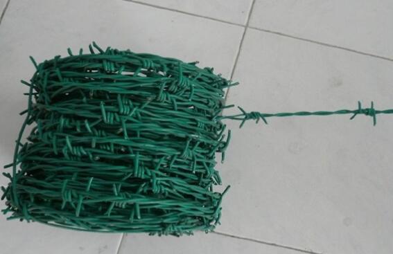 Hot-Dipped Ss Pvc Coated Barbed Wire