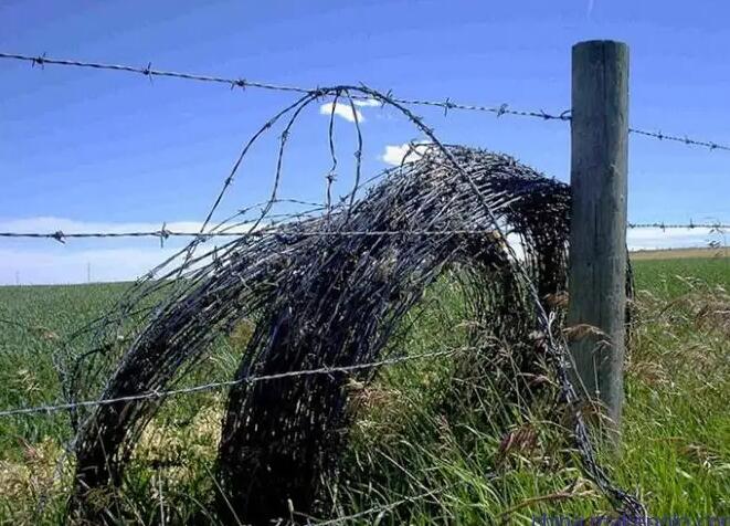 Is the more specific the better?