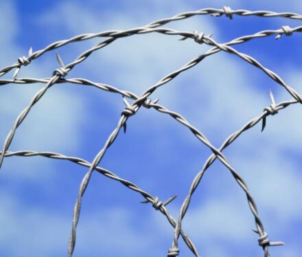 GI Wire Applications in Agriculture and Its Benefits for Modern Farming