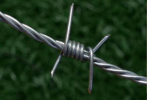 School fence blade rolling cage, fence blade barbed rope