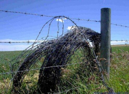 Barbed rolling cage, wall wire rolling cage manufacturers