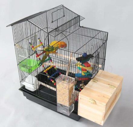 Proper use of bird cage
