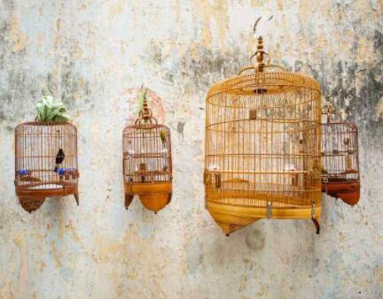 aluminum window screen manufacturer