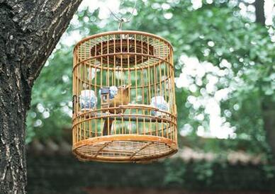 resilient channel screws