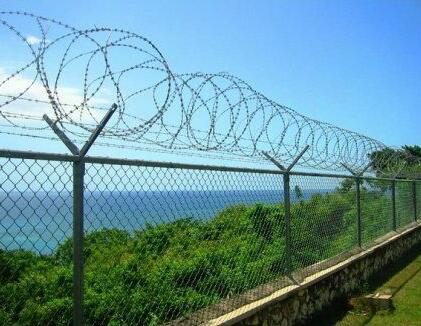 black fly screen mesh