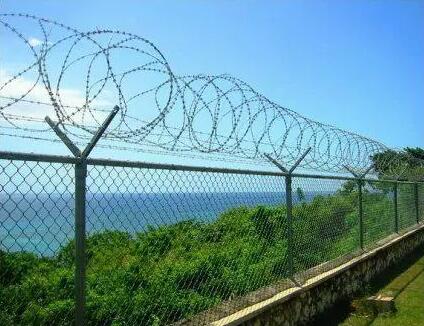 insect screen mesh size