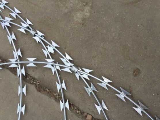 High-Quality 1 4 Welded Wire Mesh for Versatile Applications