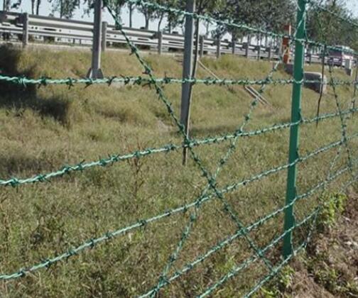 Durable 4x4 Wire Mesh for Versatile Applications in Construction and Landscaping