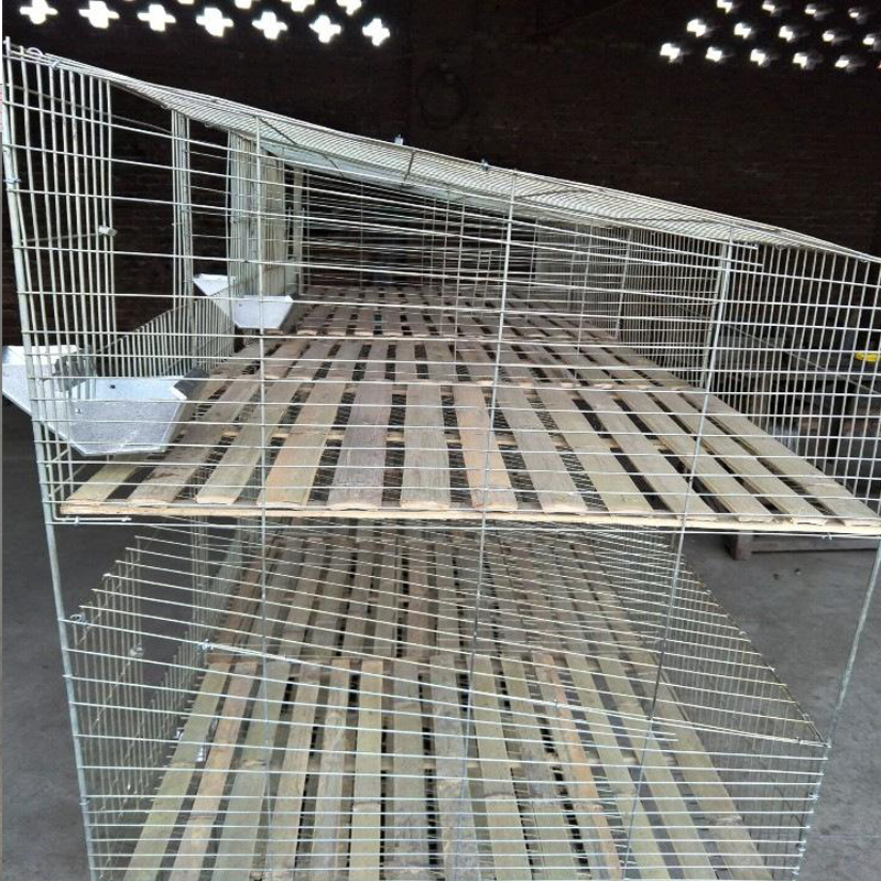 Galvanized Rabbit Cage: Rustproof, Heavy-Duty, PVC Options