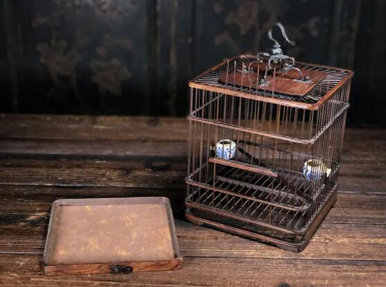 How about maintaining the cage