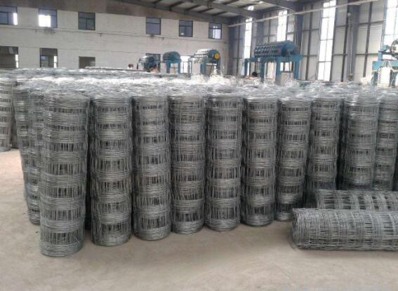 How many years does a cattle net typically last?