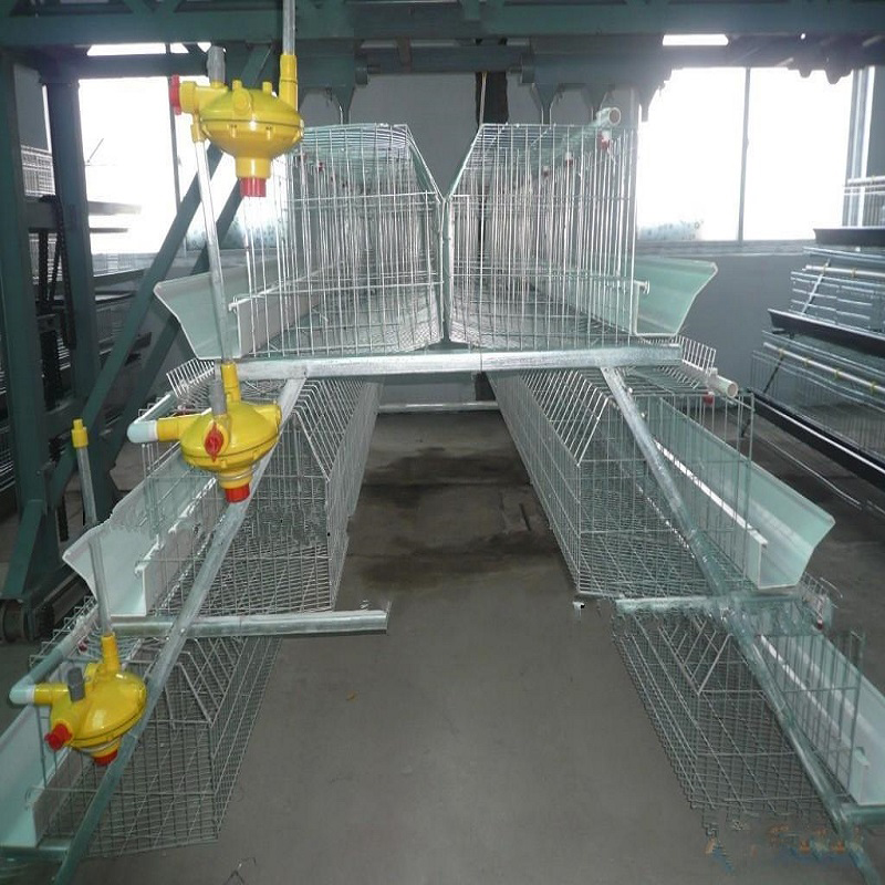 Durable Galvanized Steel Chicken Coop | Rust-Proof & Safe