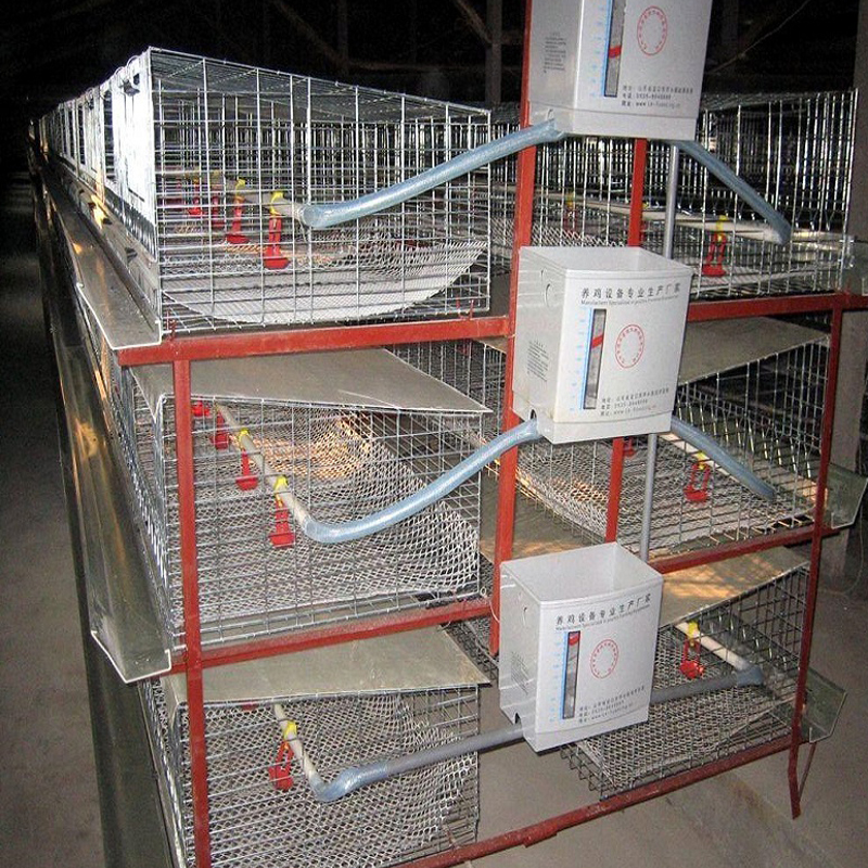 Durable Galvanized Steel Chicken Coop | Rust-Proof & Safe