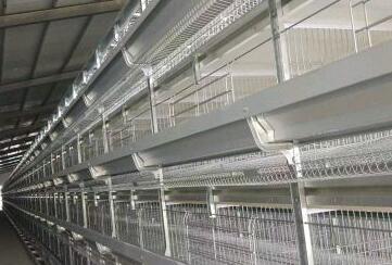 Iron Nails Price per Kilo | Affordable Bulk Buy Options