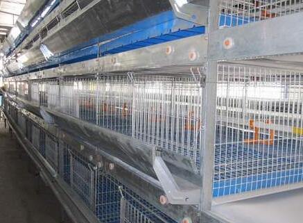 barbed wire for sale