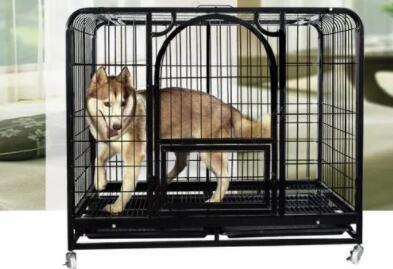 barbed wire farm fence