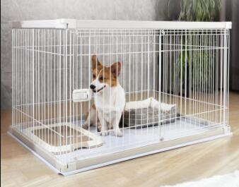 16 Degree Coil Nails - High-Quality Fasteners for Your Projects