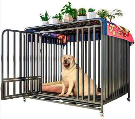 Understanding Common Framing Nails and Their Uses in Construction Projects