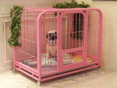 Dog cage selection tips!