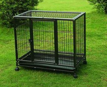 How to do cage training