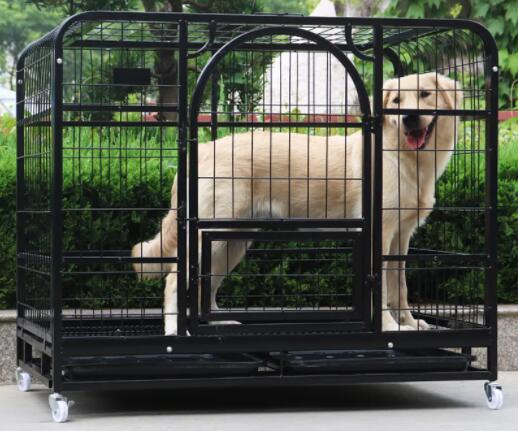 1 1 2 x 1 1 2 wire mesh