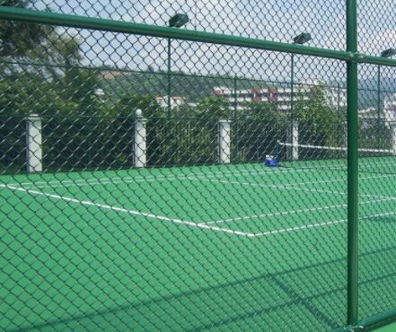 wire mesh for brick wall