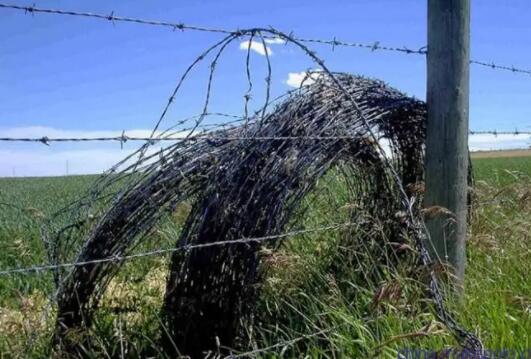 Quality comparison between stainless steel barbed rope and hot-dip galvanized barbed rope