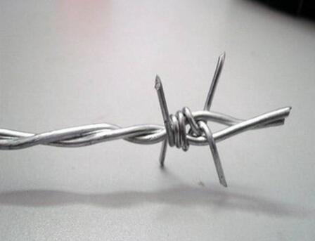 Durable Hot-Dipped Coil Roofing Nails for Secure and Reliable Installations