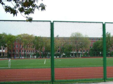 Court galvanized diamond mesh custom